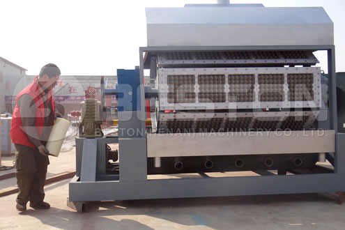 Beston Egg Box Machine for Sale